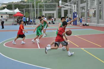 LN_basket01