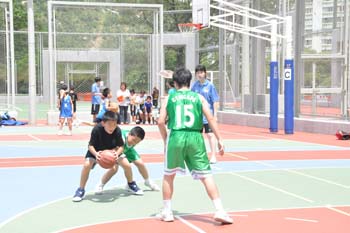 LN_basket04