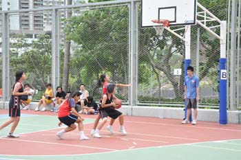 LN_basket15