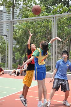 LN_basket16