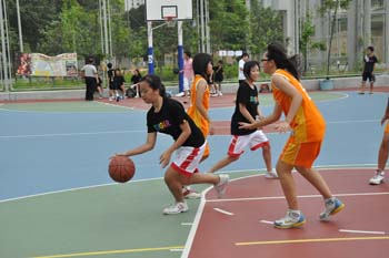 LN_basket17