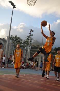 LN_basket24