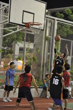 LN_basket31