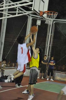 LN_basket32