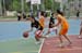 LN_basket17