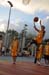 LN_basket24